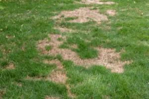 sprinkler system needs repair before summer