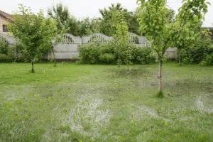 drainage systems fixed after yard floods