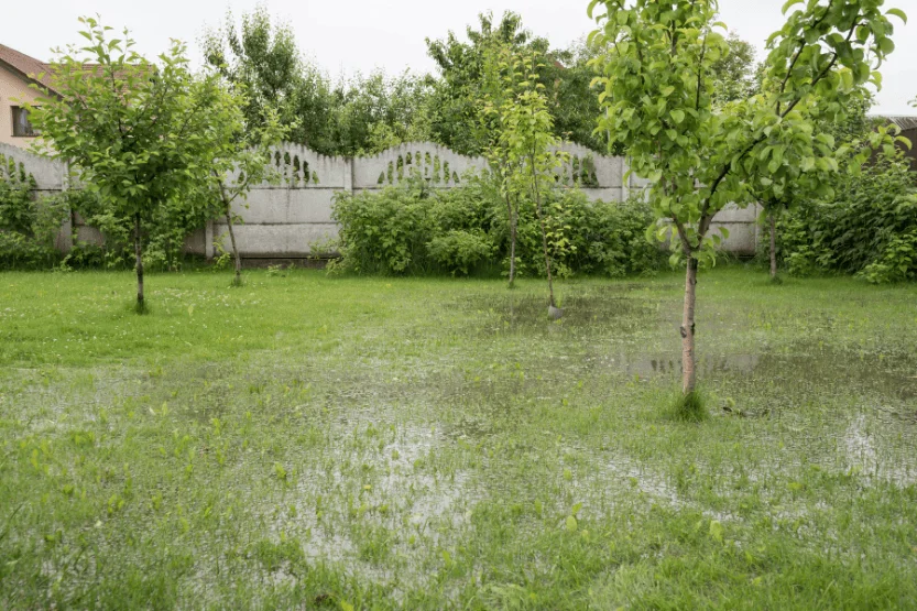 drainage systems fixed after yard floods