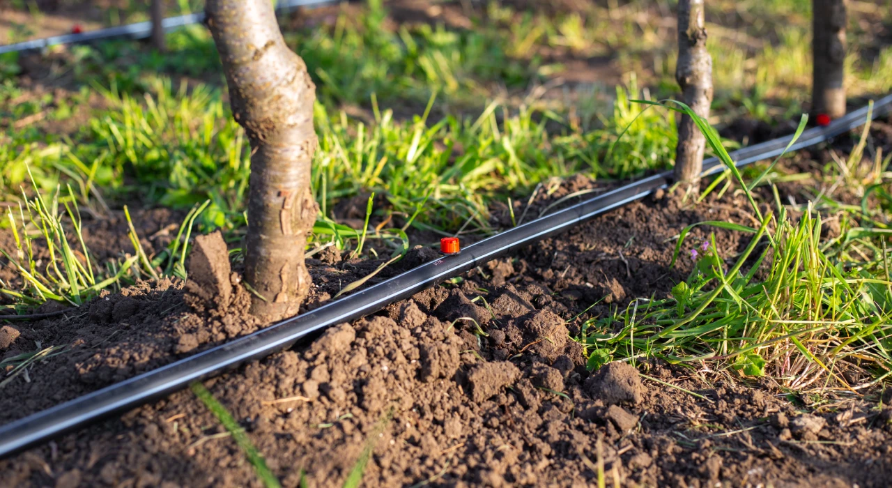 commercial irrigation services in northern virginia and dc