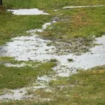 yard drainage problems in northern virginia